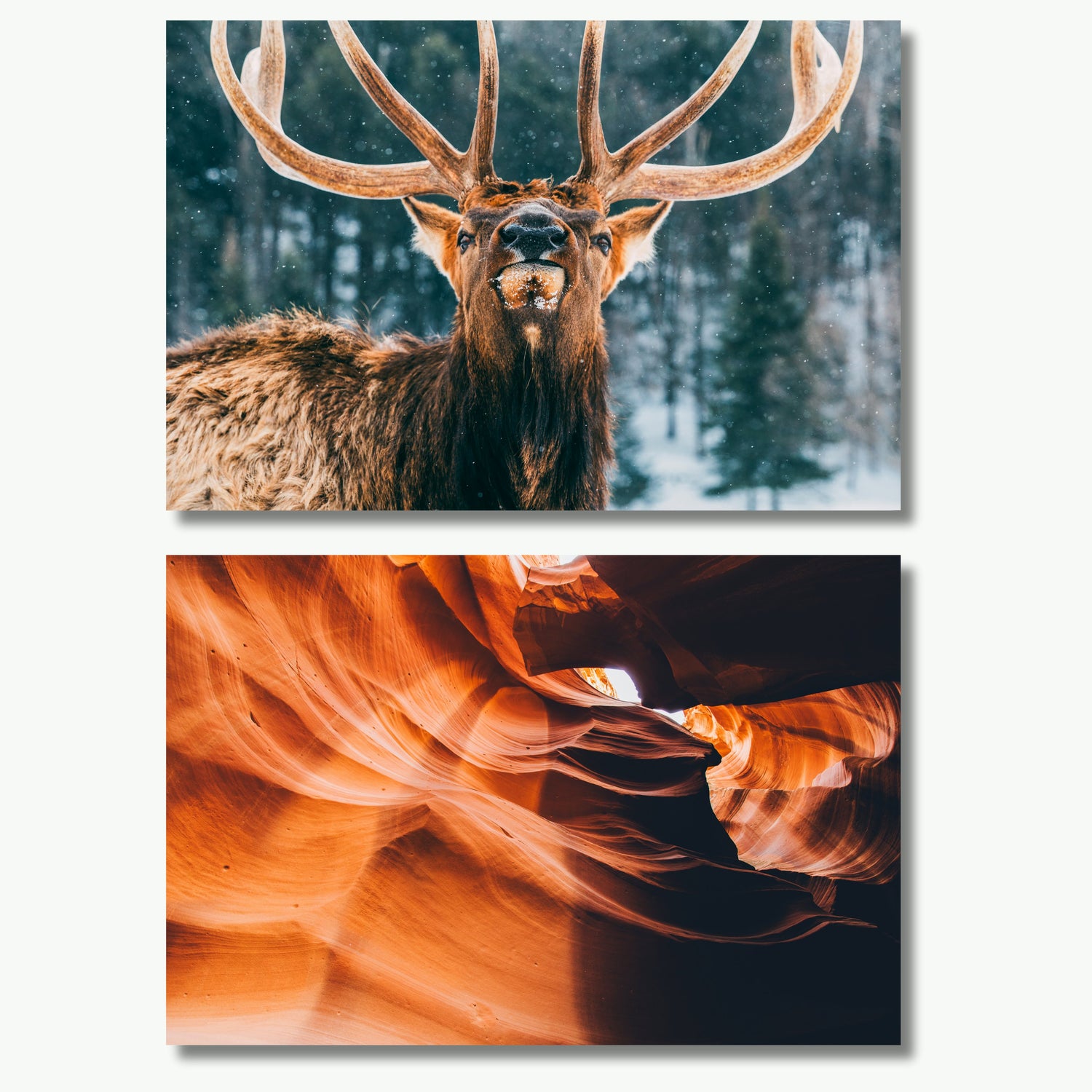 Digital Prints