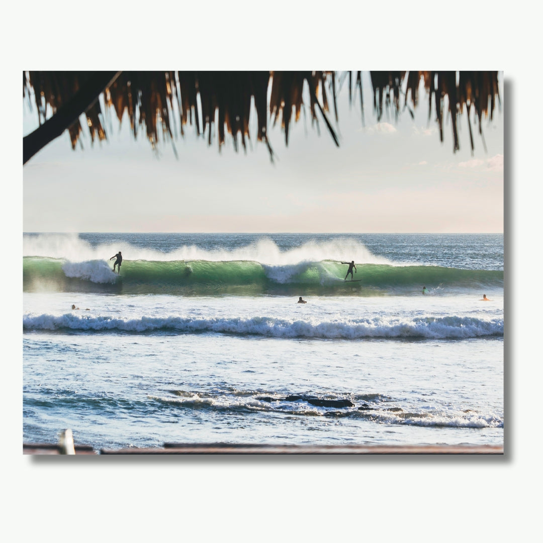 Surfer's View