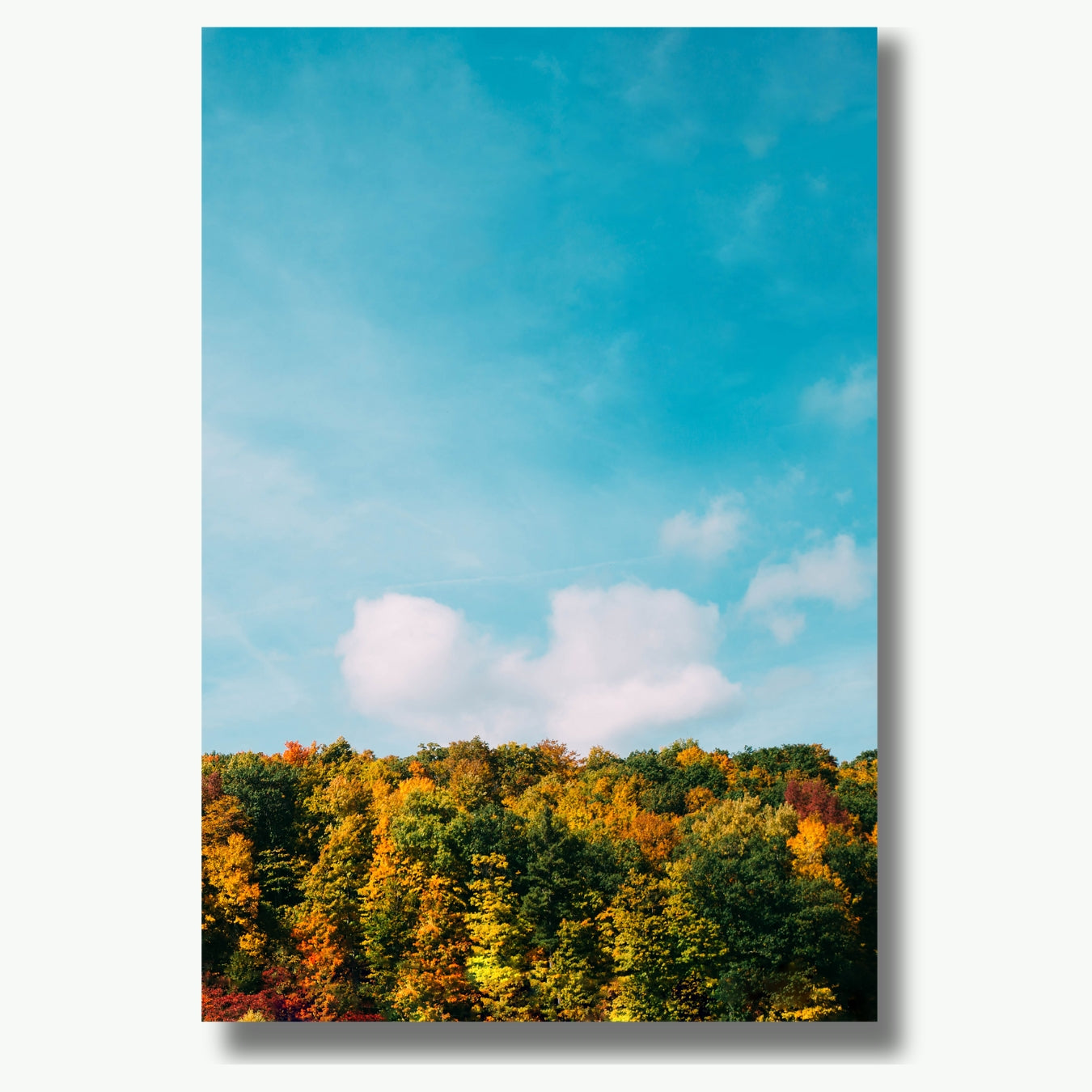 Autumn in Ontario
